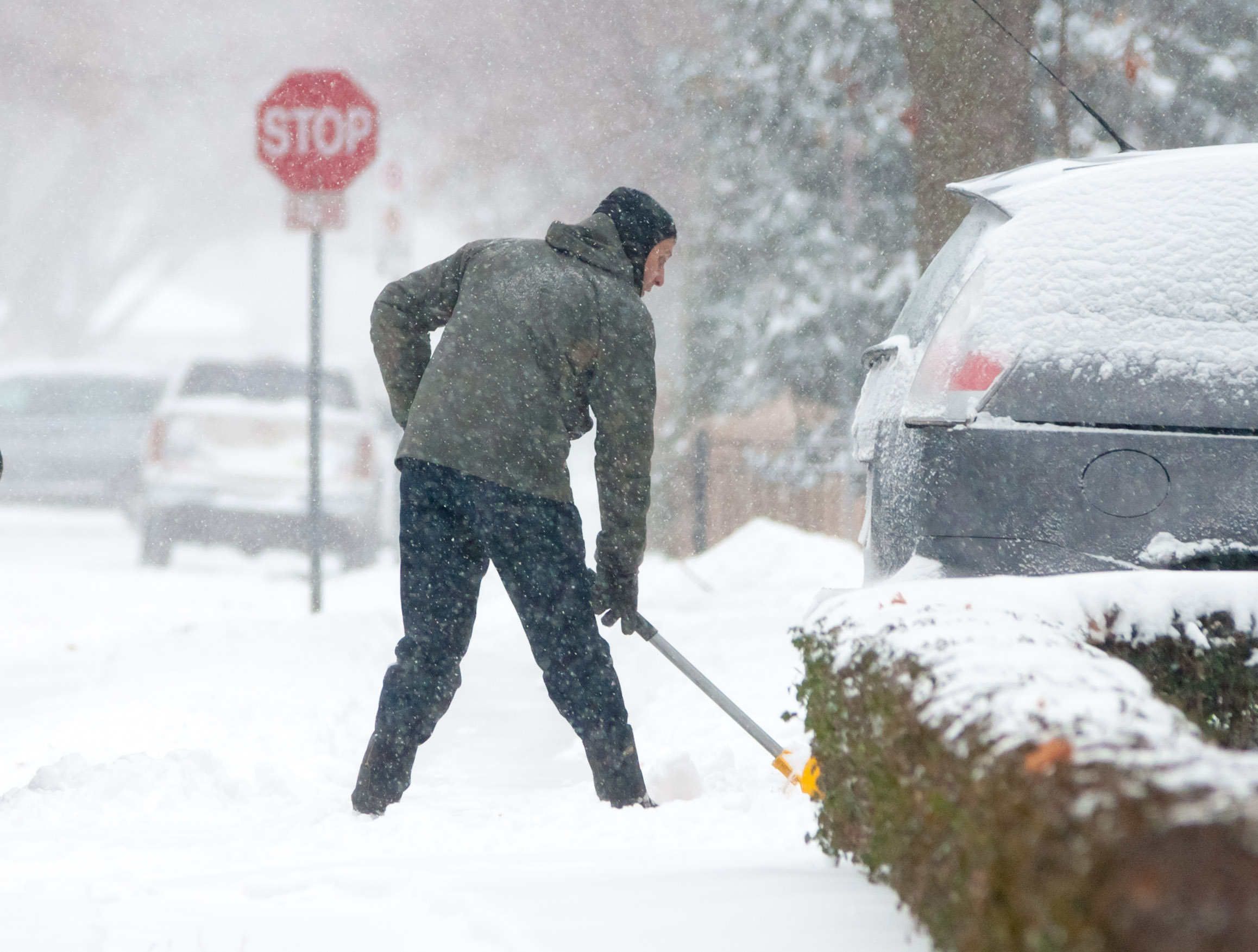 PHOTOS Windsorites Dig Out From Snowstorm windsoriteDOTca News