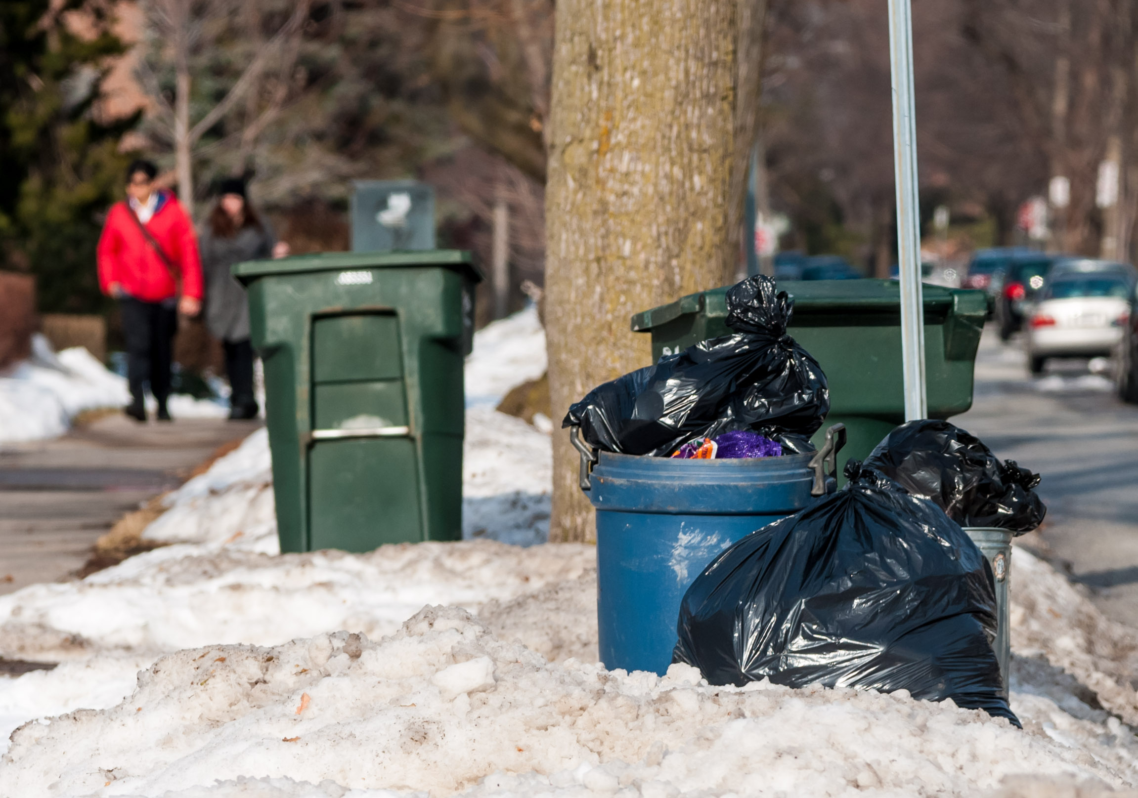 Putting Your Garbage Bags At The Curb May Soon Be Banned In Windsor ...