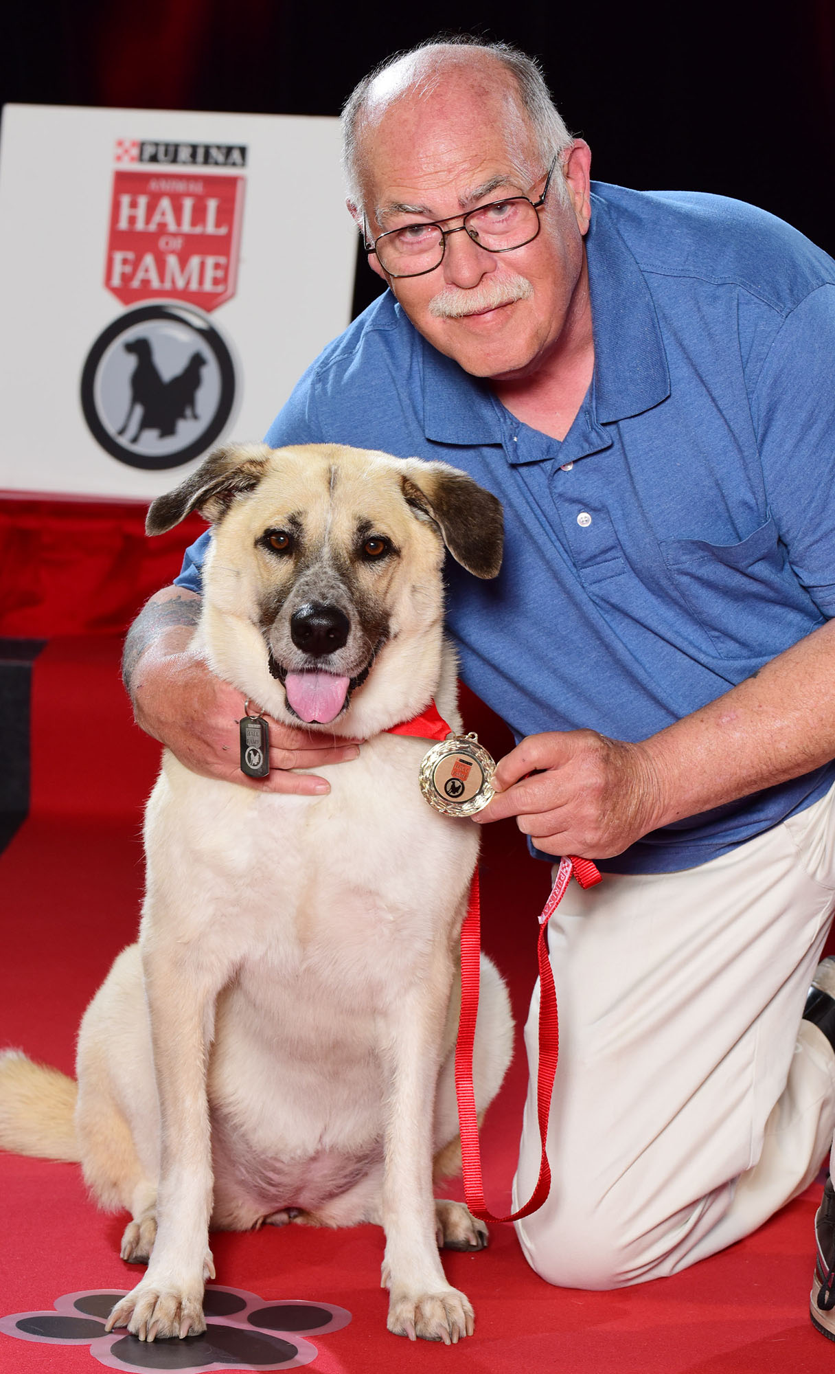 Local Dog Inducted Into The Purina Animal Hall Of Fame