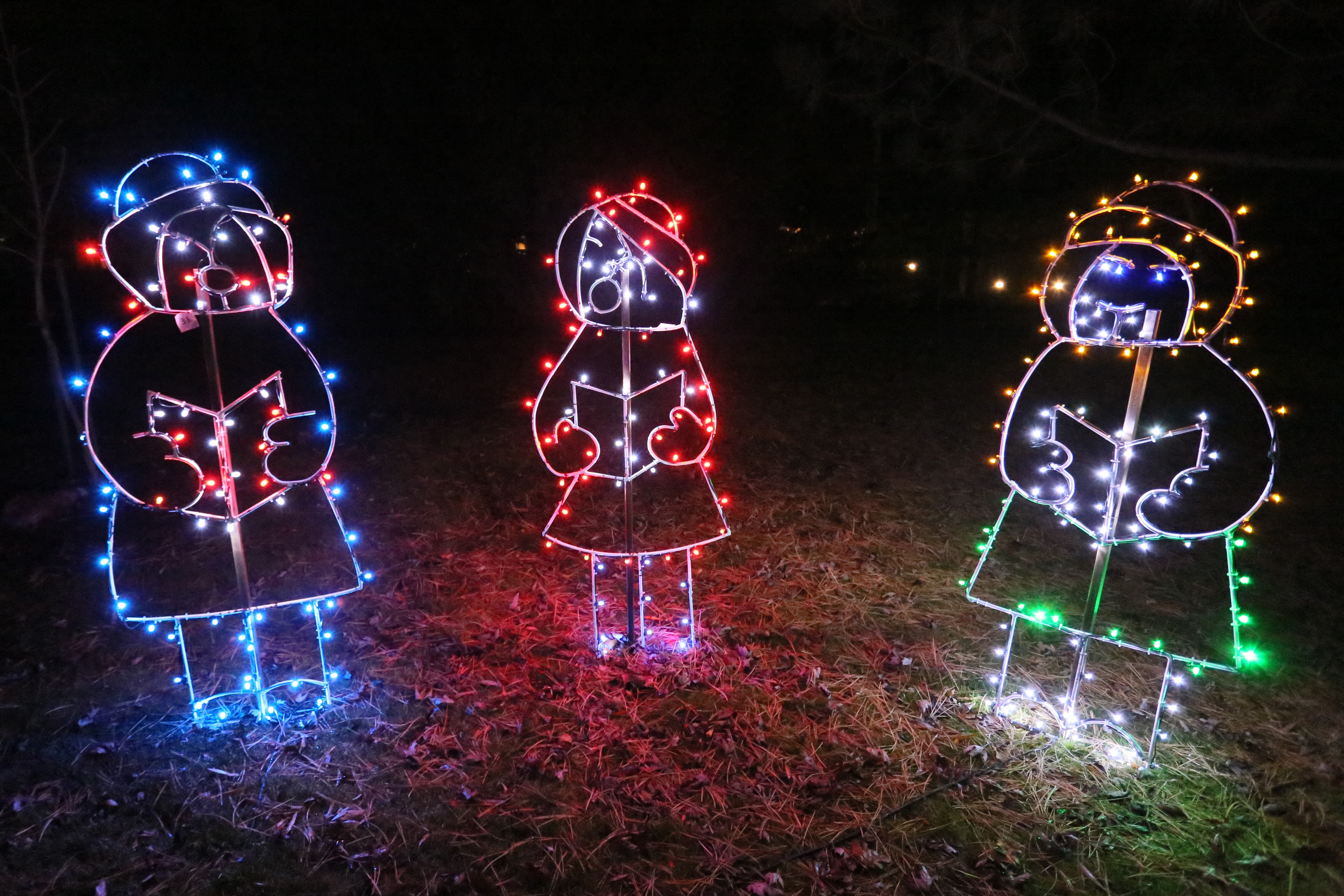 Christmas Visual: Kingsville's Fantasy Of Lights | windsoriteDOTca News ...
