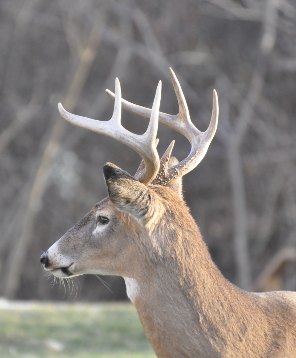 photo-of-the-day-monday-december-5th-2022-windsoritedotca-news