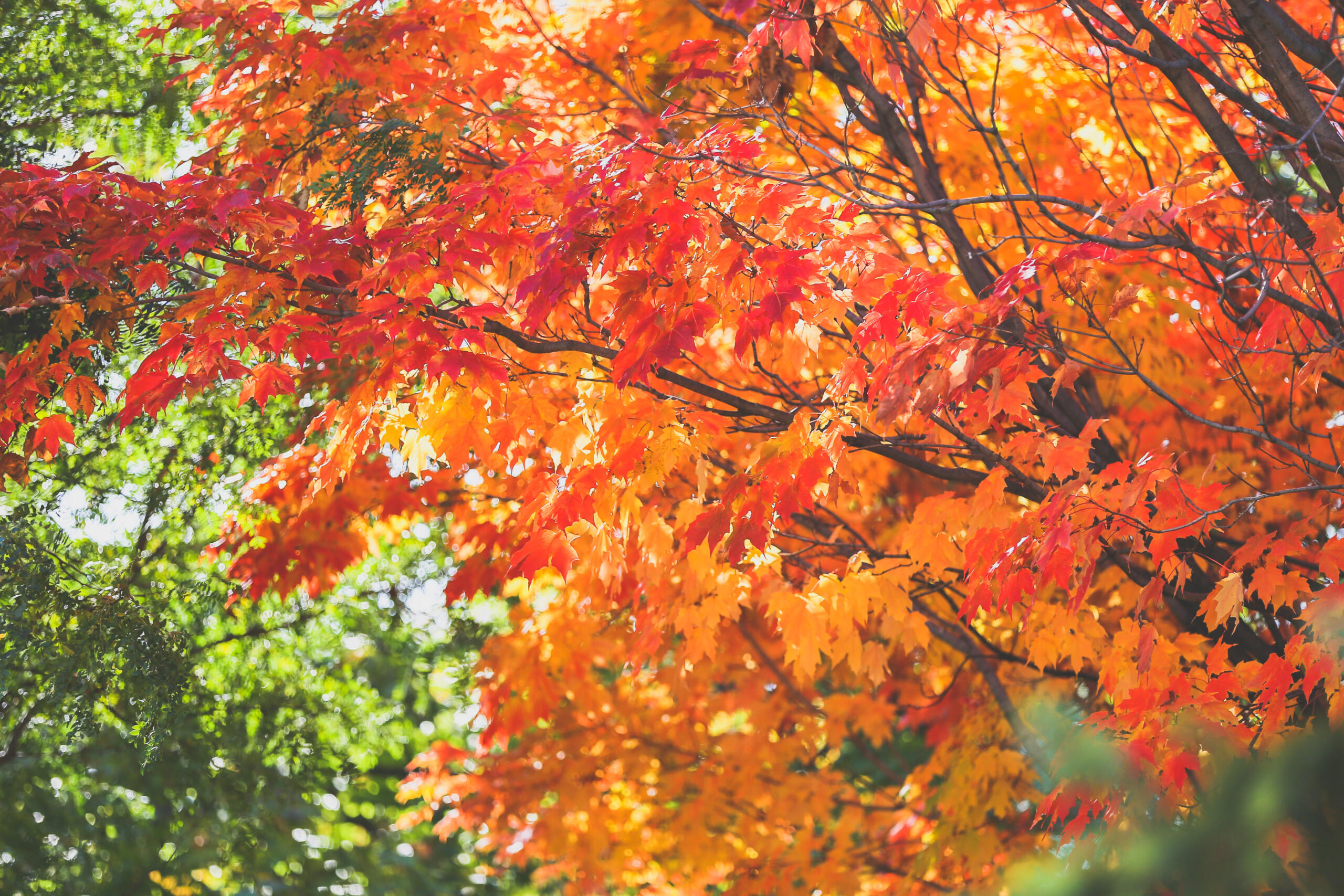 WEATHER Friday September 29th 2023 WindsoriteDOTca News Windsor 